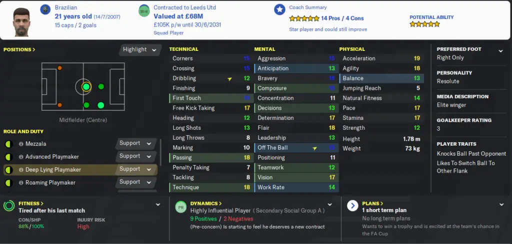 A capable deep lying playmaker