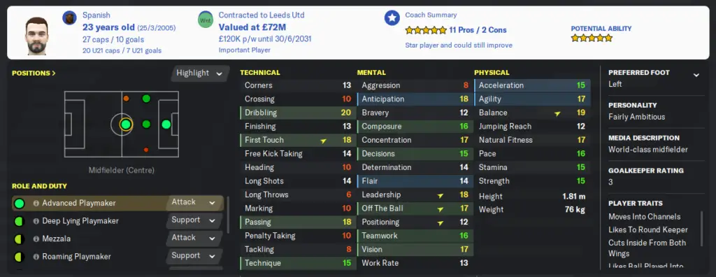 Advanced Playmaker attributes in football manager